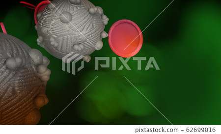 The virus in green dark tone 3d rendering for medicine and healthcare content. The virus in green dark tone 3d rendering for medicine and healthcare content. 62699016