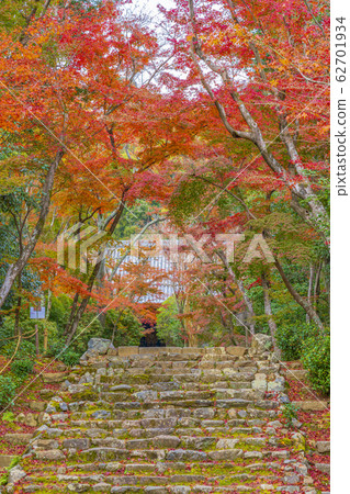 秋天的京都城居寺 62701934