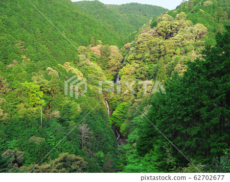 Spring noodles Falls Spring noodles Falls 62702677