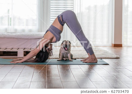 woman practice yoga Downward Facing dog with dog 62703470