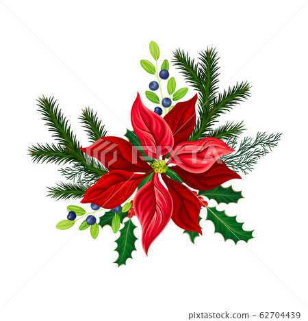 Christmas Flower Composition with Fir Tree Twigs and Blueberry Branch Vector Illustration Christmas Flower Composition with Fir Tree Twigs and Blueberry Branch Vector Illustration 62704439