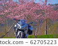 櫻花和摩托車 62705223