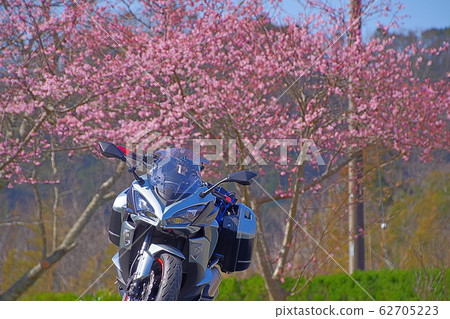 櫻花和摩托車 62705223