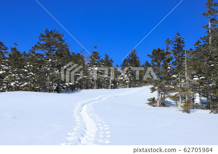 雪山步道圖像Norikura 62705984