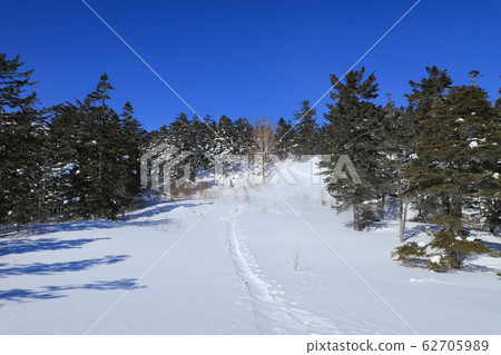 雪山步道圖像Norikura 62705989