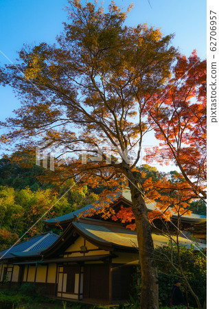 鎌倉的秋葉和城市景觀 鎌倉的秋葉和城市景觀 62706957