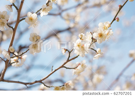 White fume blue sky White fume blue sky 62707201