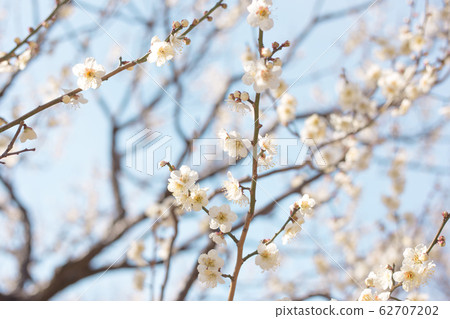 White fume blue sky White fume blue sky 62707202