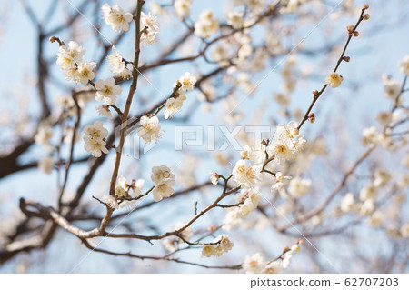 White fume blue sky White fume blue sky 62707203