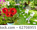flowers in the garden, view from above 62708955