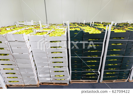 Peppers Storage 62709422