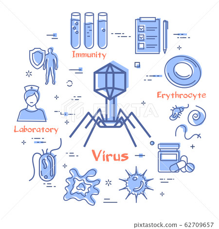 Vector concept of bacteria and viruses - bacteriophage icon 62709657