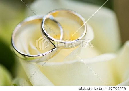 wedding rings on the rose wedding rings on the rose 62709659
