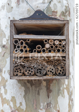 Beehive Hotel Box 62709719