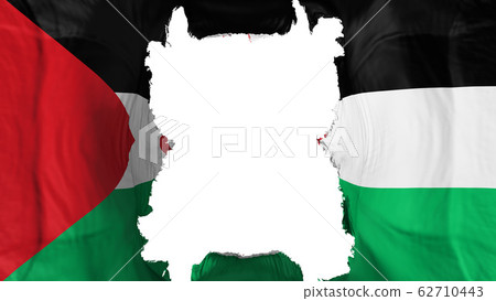 Ripped Sahrawi Arab Democratic Republic flying 62710443