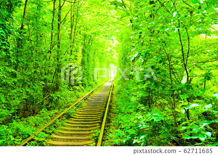 tunnel of love 62711685