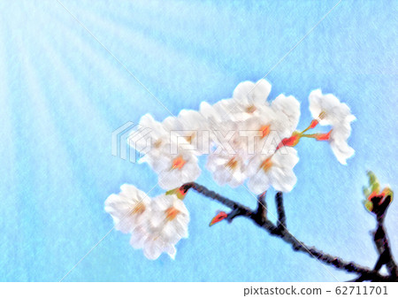 Cherry blossom up watercolor style Cherry blossom up watercolor style 62711701