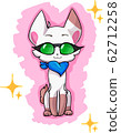 Vector hand drawn illustration of cute cat in green glasses 62712258
