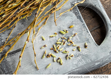 Willow buds  - ingredients to prepare a gemmotherapy tincture 62712436