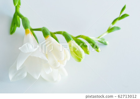 White freesia flowers in decorative bottles White freesia flowers in decorative bottles 62713012