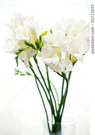 White freesia flowers in decorative bottles 62713013