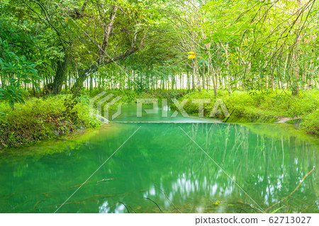 View of landscape nature and river in green tree 62713027
