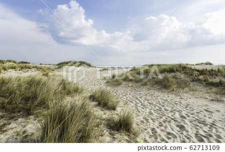 Beach landscape with sand marram grass on Sylt 62713109
