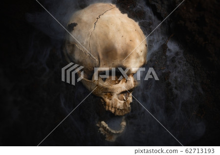 Skull of a dead man in on the ground 62713193