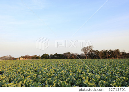 Field (spring) Field (spring) 62713701