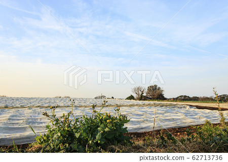 Field (spring) Field (spring) 62713736