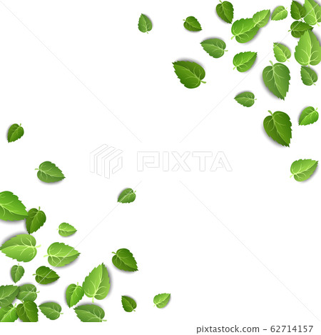 Flying green leaves on white background. Spring leaf pattern on isolated backdrop. Fall fresh leaves plant. Vector illustration Flying green leaves on white background. Spring leaf pattern on isolated backdrop. Fall fresh leaves plant. Vector illustration 62714157