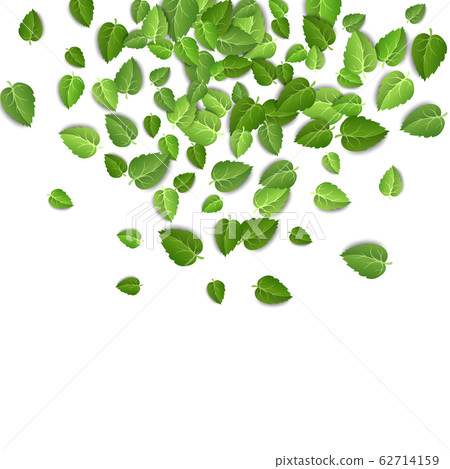 Flying green leaves on white background. Spring leaf pattern on isolated backdrop. Fall fresh leaves plant. Vector illustration Flying green leaves on white background. Spring leaf pattern on isolated backdrop. Fall fresh leaves plant. Vector illustration 62714159