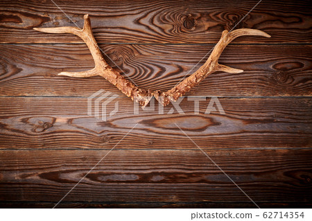 Deer antlers on vintage wooden background 62714354