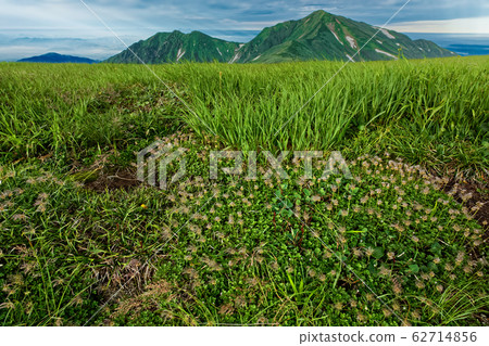 Chinguruma spikes and Mt. 62714856