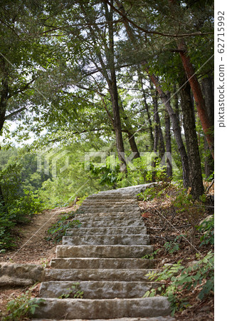 樓梯,遠足徑 樓梯,遠足徑 62715992