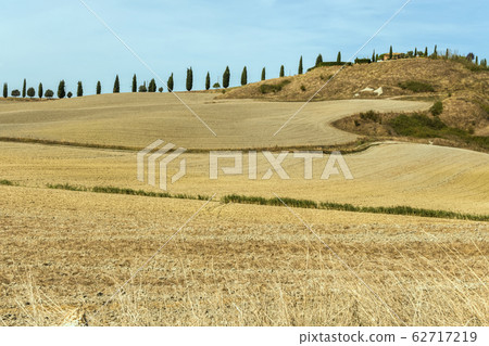 Typical landscapes for Siena Province in Tuscany, 62717219