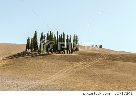 Typical landscapes for Siena Province in Tuscany 62717241