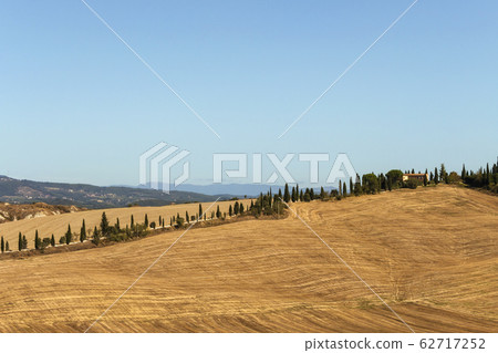 Typical landscapes for Siena Province in Tuscany 62717252