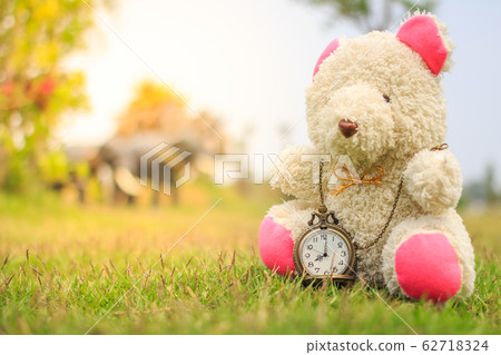 bear sit on the grass wear vintage pocket watch 62718324