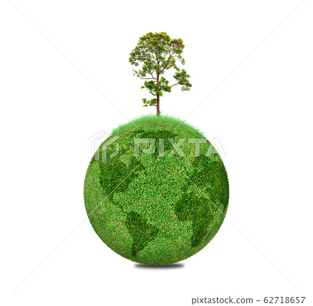 Tree on the globe world 62718657