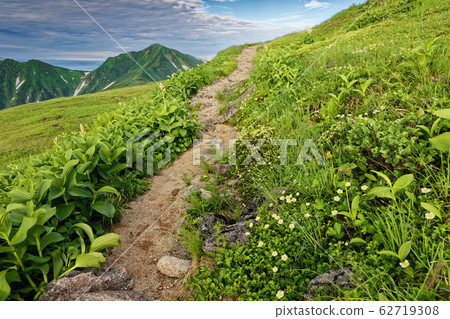 Mountain trail and Mt. Dainichi of Iide Mountains where alpine plants bloom Mountain trail and Mt. Dainichi of Iide Mountains where alpine plants bloom 62719308