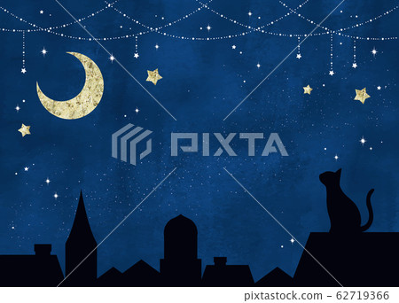 Starry sky, moon and black cat 62719366