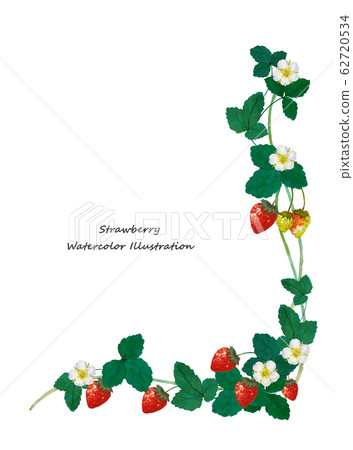 草莓水彩框架 62720534