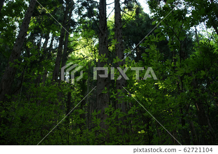 Four Seasons Spring Spring Iwai Falls 62721104