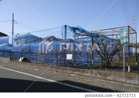 Production green area Productive green areas Production green area Productive green areas 62721713