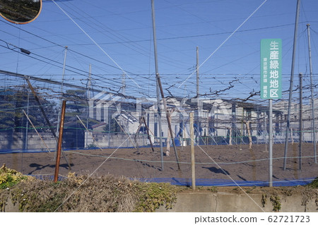 Production green area Productive green areas Production green area Productive green areas 62721723