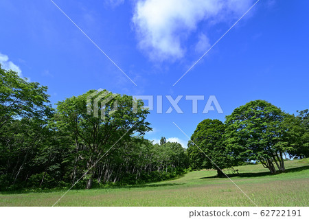 Ranch Ranch 62722191