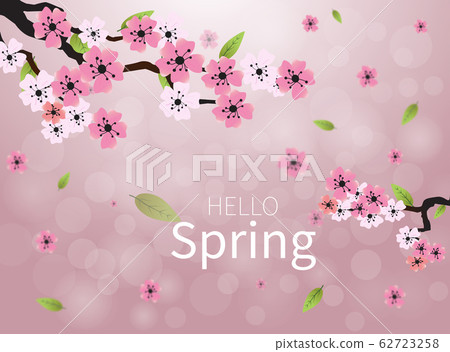 Blossoming light pink sakura flowers Blossoming light pink sakura flowers 62723258