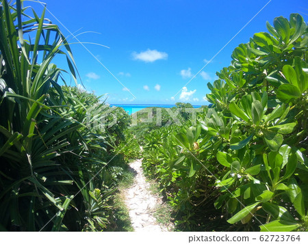 Ikema block 62723764