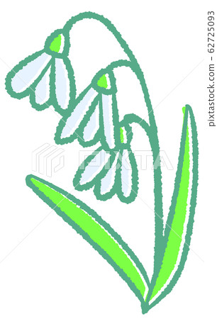 Snow Drop Snow Drop 62725093